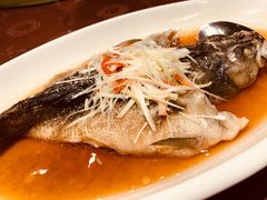 -上海新锦江大酒店