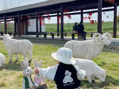 -杭州湾海上花田景区