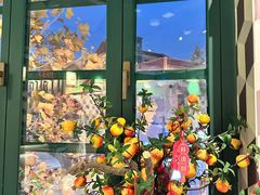 -1937青岛老味道·海肠捞饭·青岛菜(大鲍岛栈桥店)