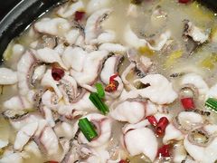 -周渝食惦酸菜鱼(青浦店)