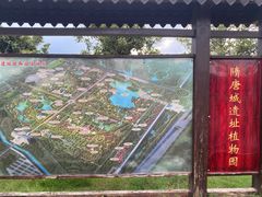-洛阳市隋唐城遗址植物园