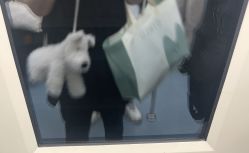 -国际蓝孩(万象城店)
