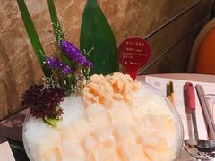 象拔蚌-協成海鮮火鍋(老店)