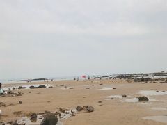 -渡海小渔村.老辈日照菜