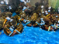 -蟹之国·精品蟹料理(极地店)