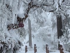 -瓦屋山景区