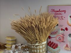 -DEMO黛慕蛋糕(中泰店)