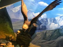 -陕西自然博物馆