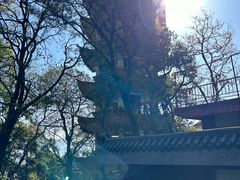 -西昌邛海湿地