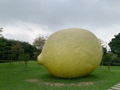 -顺峰山公园