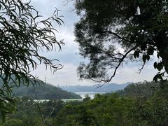-深圳仙湖植物园