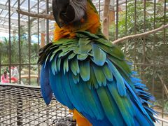 -南宫五洲植物乐园