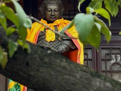 -西安大兴善寺