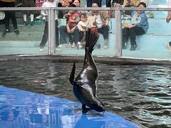 -泉州海丝野生动物世界