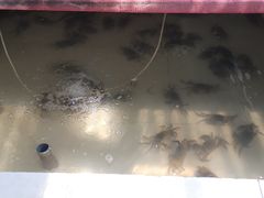 -乡乐园蟹庄·阳澄湖农家乐