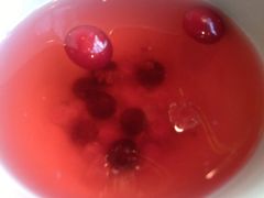 莓果茶-漫咖啡(奥体店)