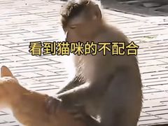 -昆明动物园