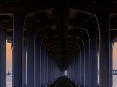 -宝安西湾红树林湿地公园