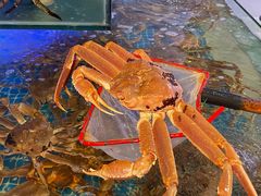 -驻海渔市(置信店)