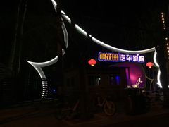 -枫花园汽车电影院(朝阳公园店)