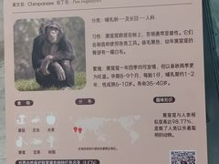 -武汉动物园