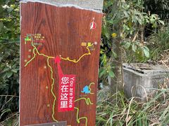 -梧桐山风景名胜区