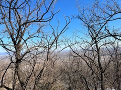 -阳台山自然风景区