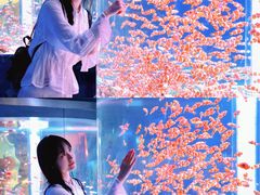 -海合安成都极地海洋公园