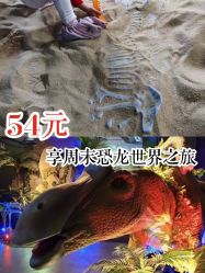 -恐龙探索乐园(磁器口店)