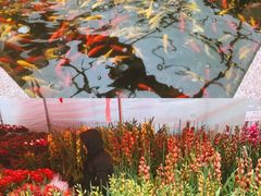 -李村大集