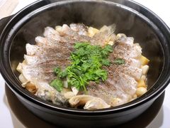 生啫东海大黄鱼-张福记(陇海中路店)