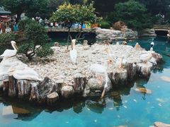 -棒棰岛宾馆景区
