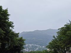 -三峡梯城