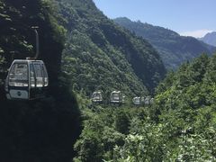 -梦幻奥陶纪景区