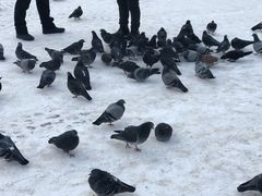 -谢尔盖圣三一大修道院