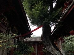 -叩齿古寺