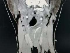 -上海市普陀区中心医院