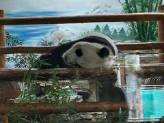 -西霞口神雕山野生动物世界