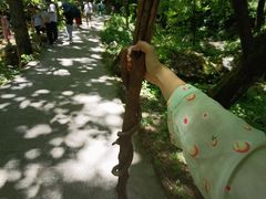 -陕西省红河谷森林公园