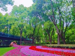 -徐家汇公园