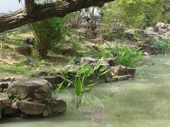 -清晏园