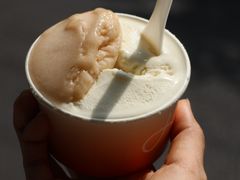 -Dip in Gelato(富民路店)
