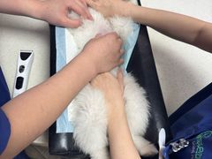 -联合动物医院(光谷诊疗中心)