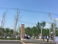 -上海浦江郊野公园-2号停车场