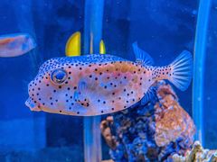 -太平洋海底世界