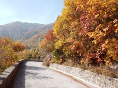 -白草畔自然风景区