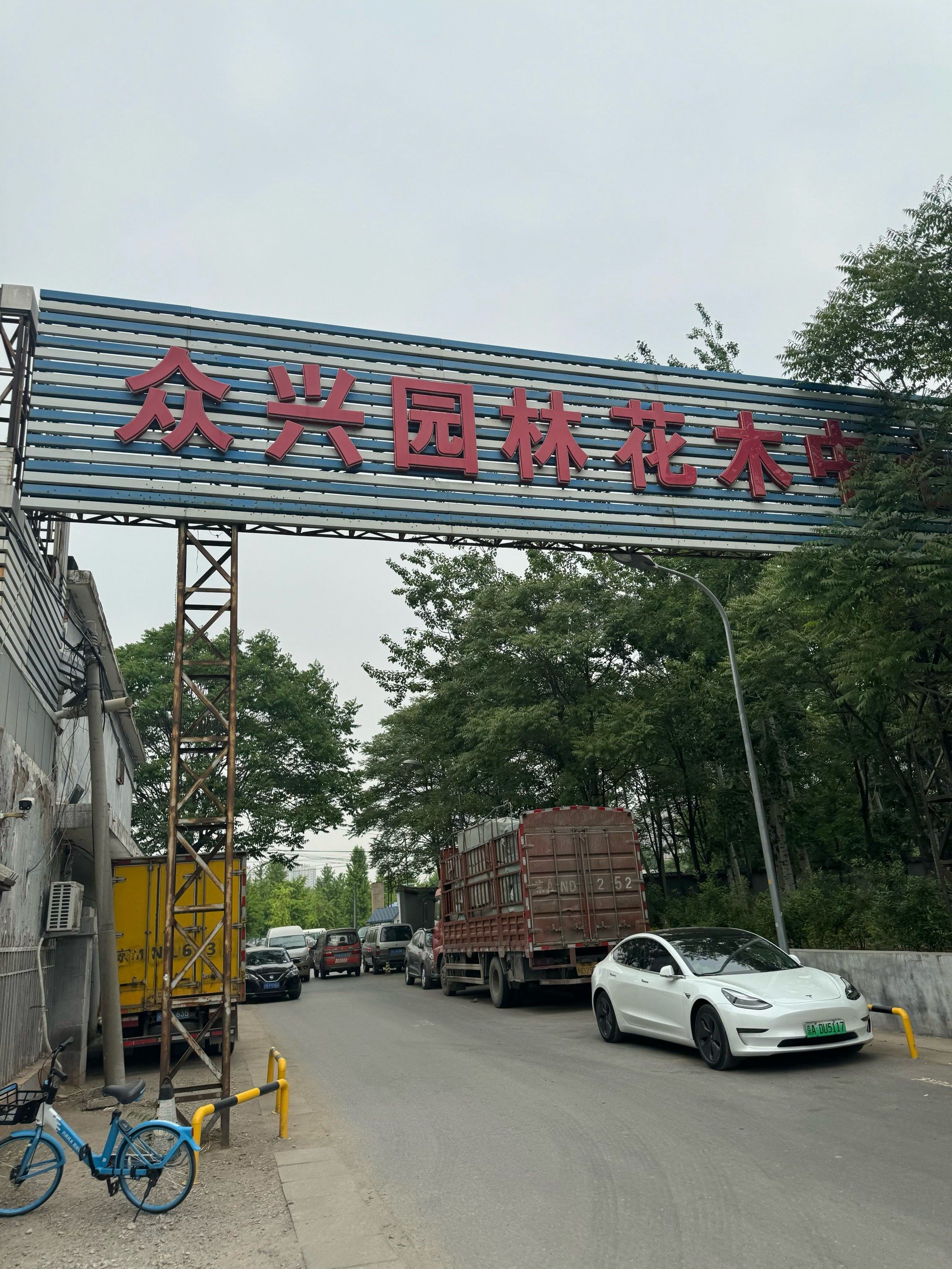 北京 📍 众兴园林花木中心