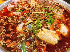 仔姜贡椒鱼-小饕荟雅安贡椒鱼鲜馆(广福桥店)