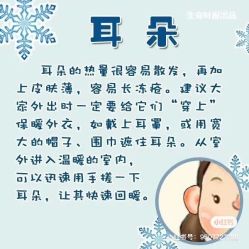 -香薇妮丝女子减肥院