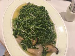 -翠园(铜锣湾广场店)